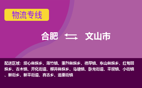 合肥到文山市物流专线-合肥到文山市货运专线-合肥到文山市运输专线