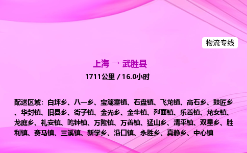 上海到武胜县物流专线_上海物流到武胜县_上海至武胜县物流公司